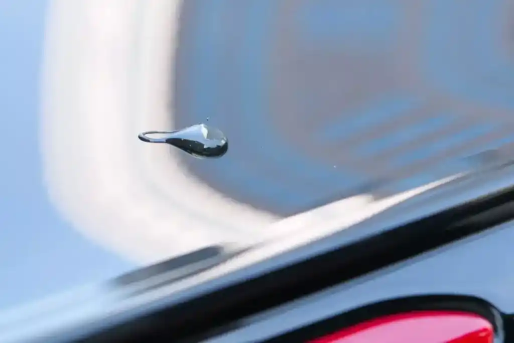 A close view of a drop of tree sap on a black car surface