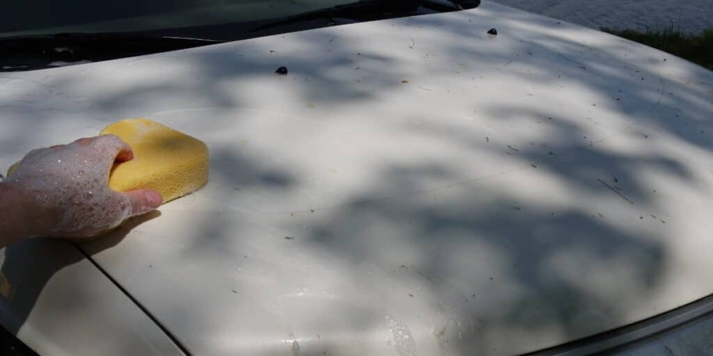 A person using sponge to remove sap from a white car