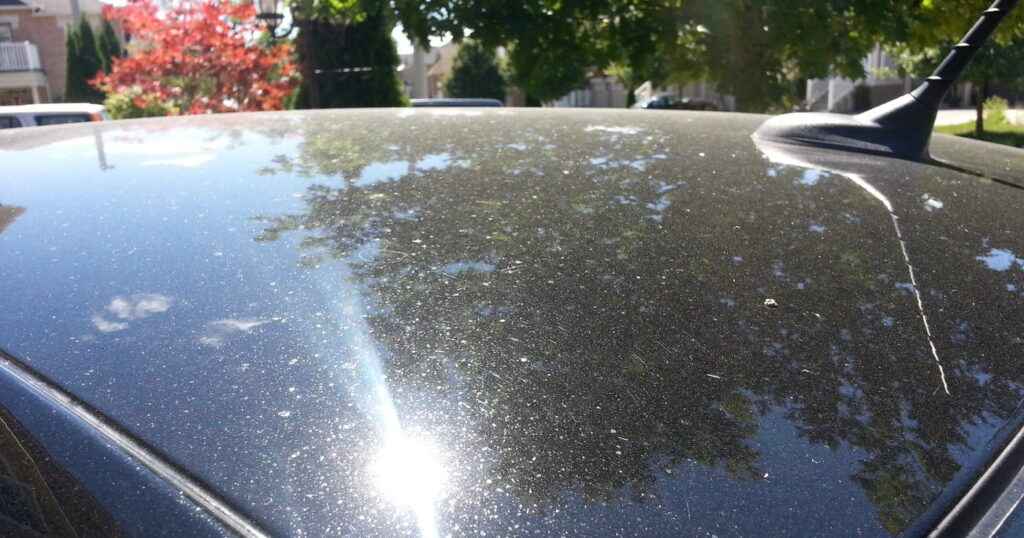Top view of a car with tree sap being washed off of it