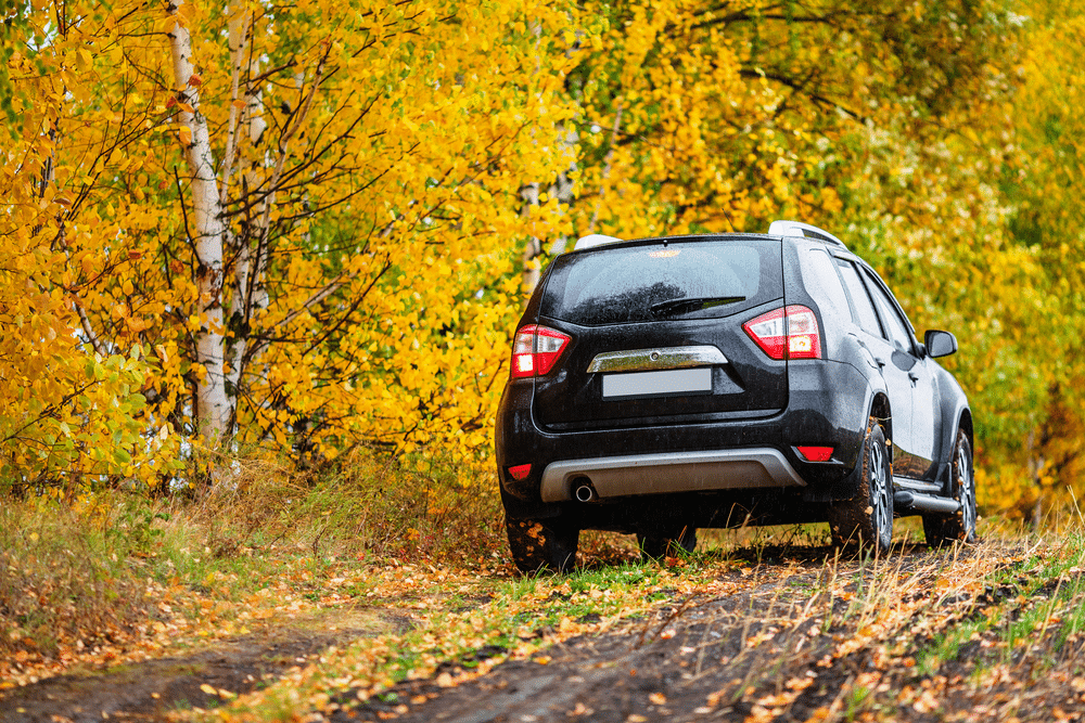 A backview of a black crossover car in autumn leaves