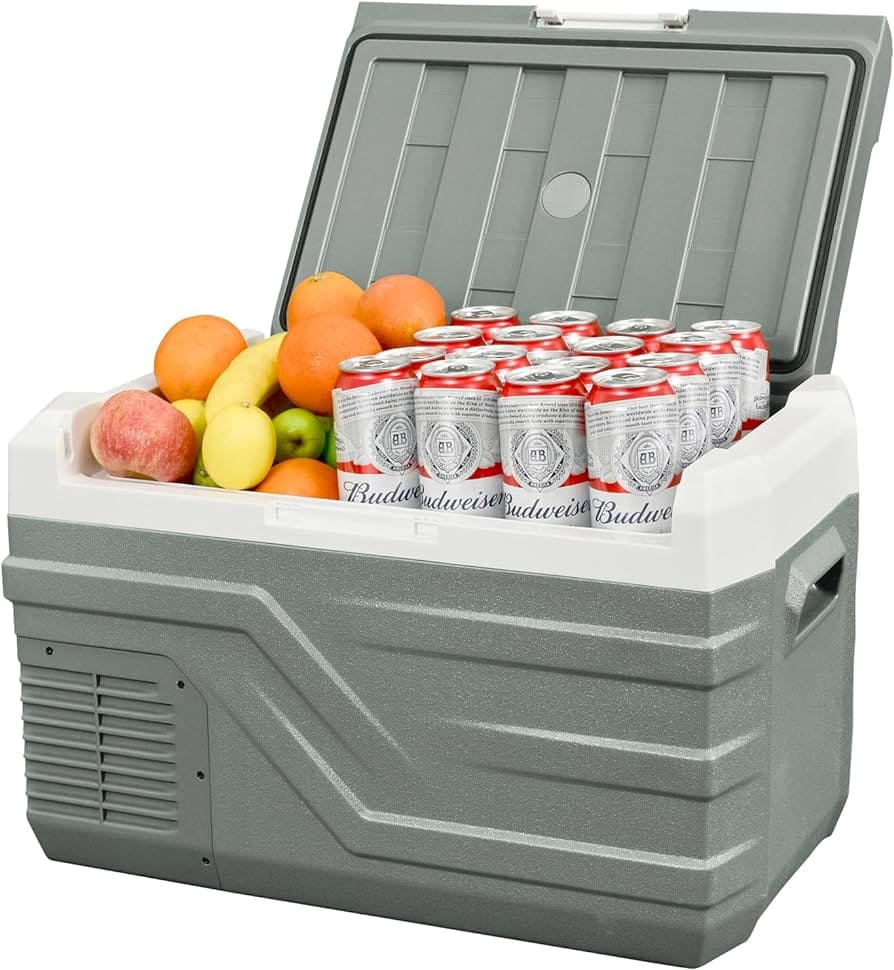 A view of the alpicool quart electric cooler for car with drinks and fruits in it