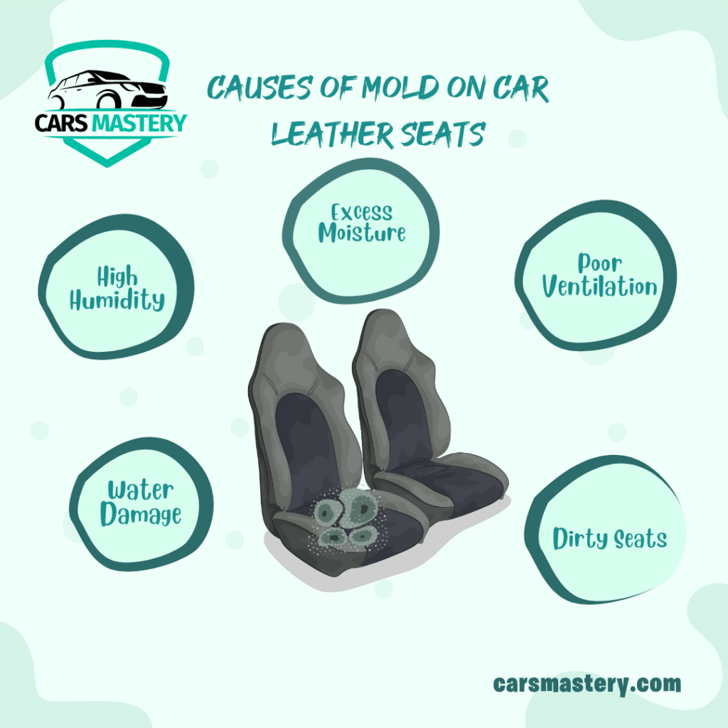 Causes of mold on your car leather seat