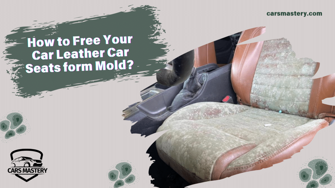 cleaning mold off car leather seats cleaning mold off car leather seats